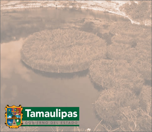 Tamaulipas